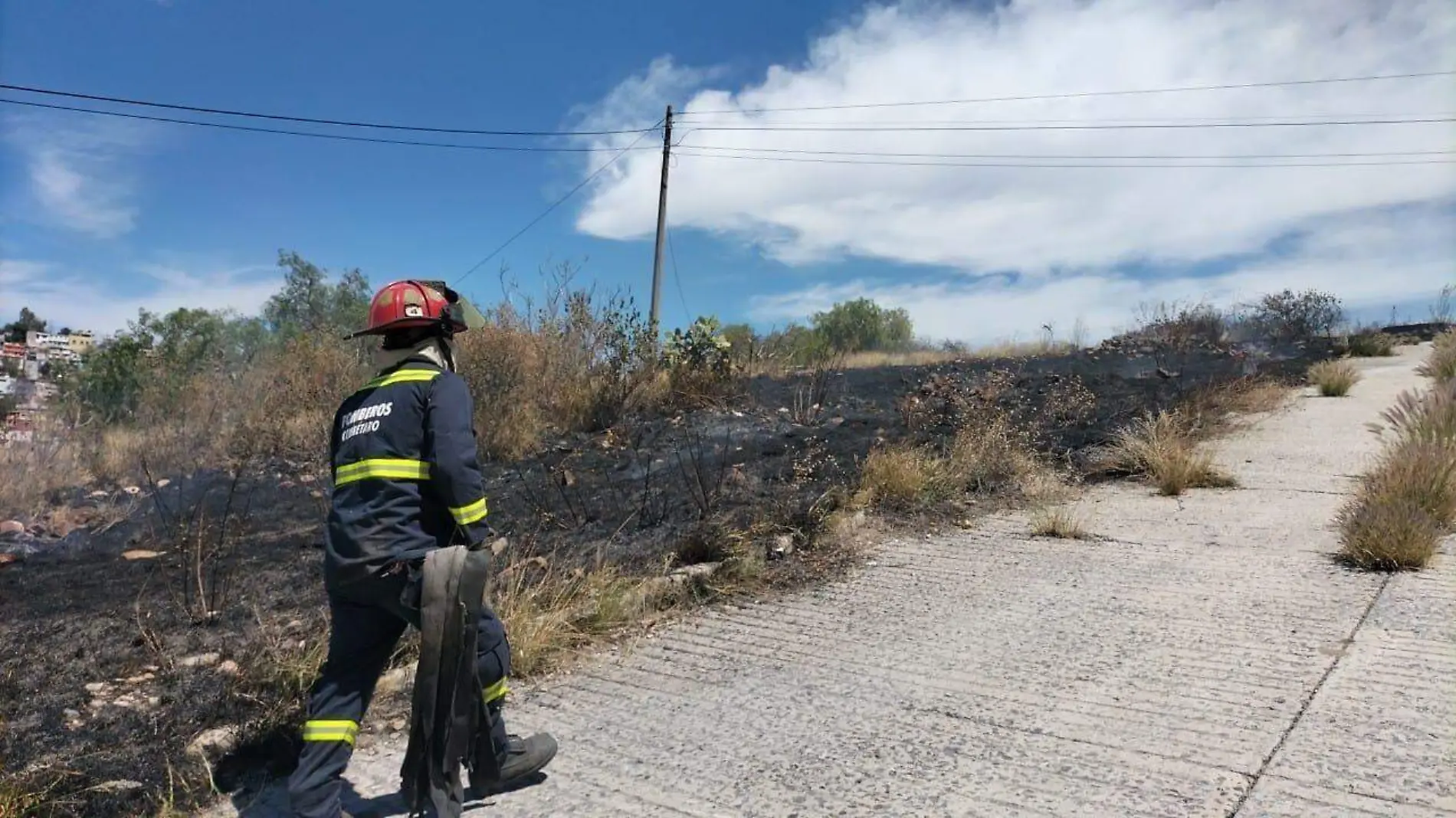 Incendios baldíos